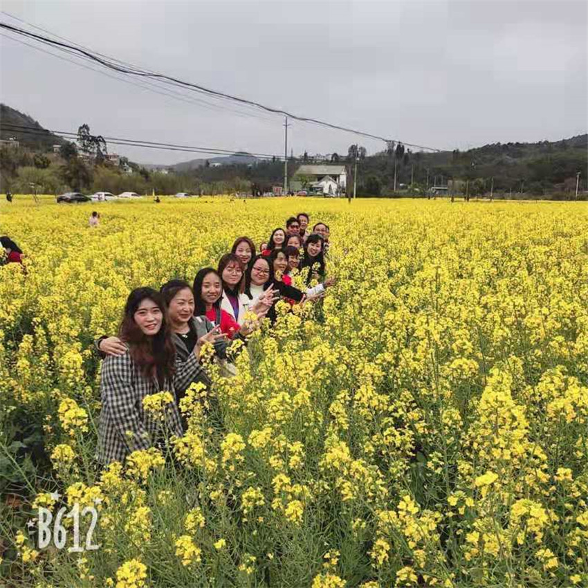 bti体育平台·(中国)官方网站
